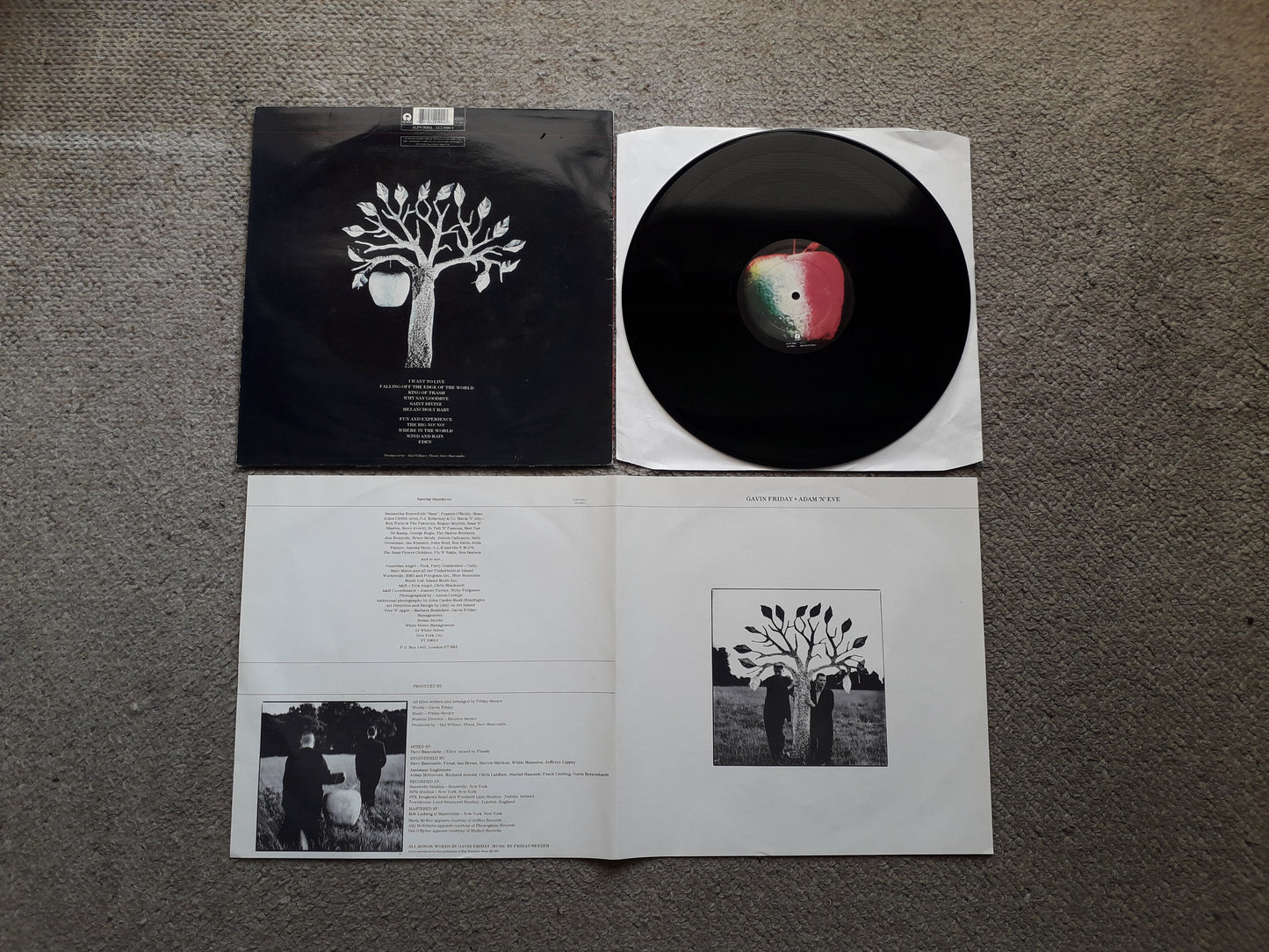 Gavin Friday-Adam 'N' Eve LP (ILPS 9984)