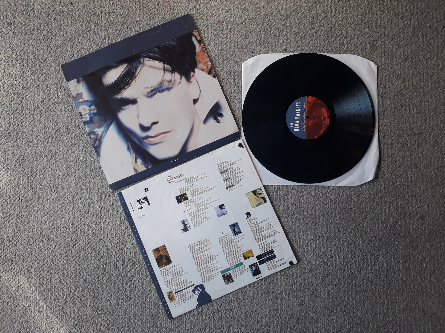The Blow Monkeys-She Was Only A Grocer's Daughter LP (PL 71245)