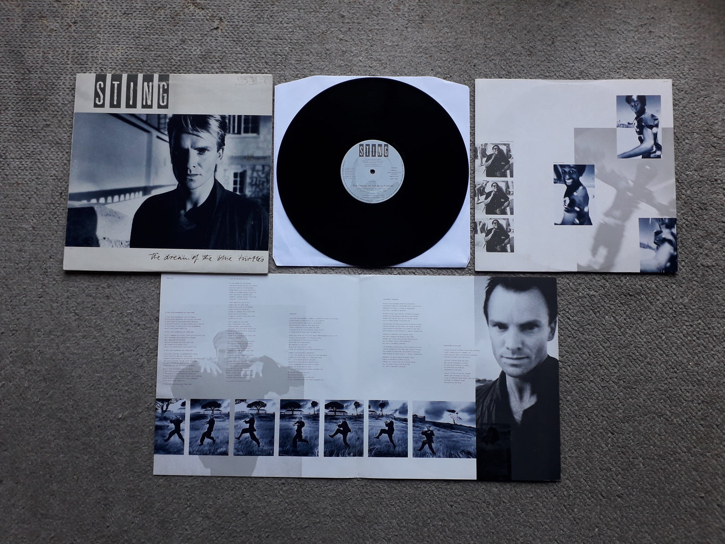 Sting-The Dream Of The Blue Turtles LP (DREAM1)