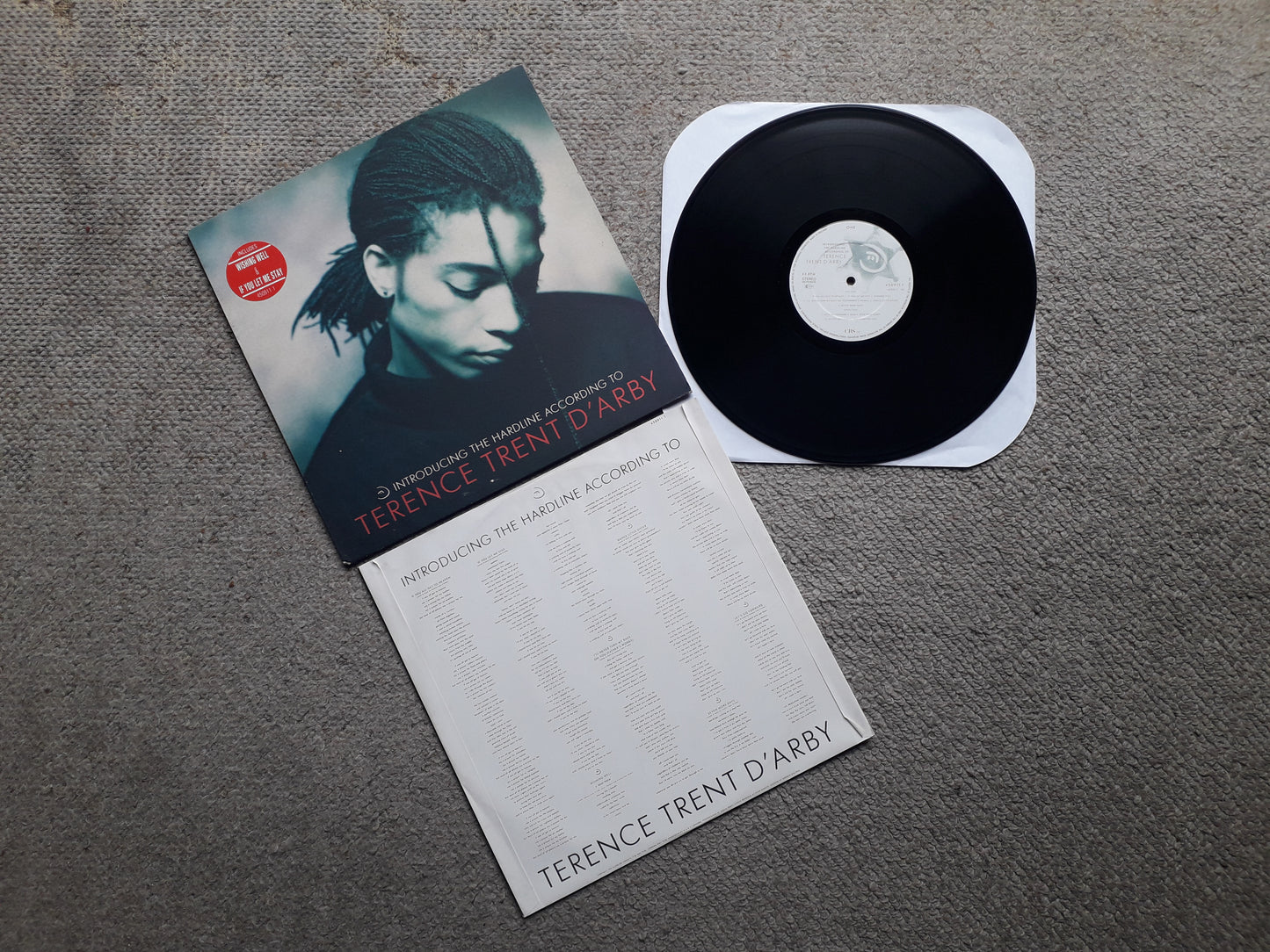 Terence Trent D'Arby – Introducing The Hardline According To Terence Trent D'Arby LP (450911 1)